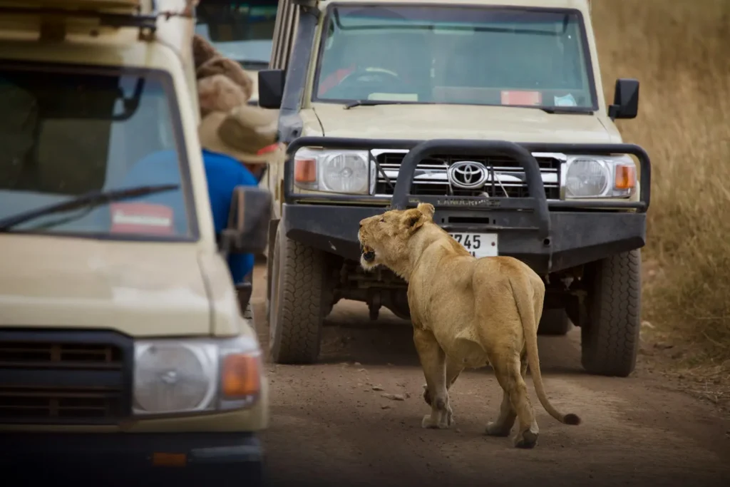 Safari vehicle on open savannah in Tanzania